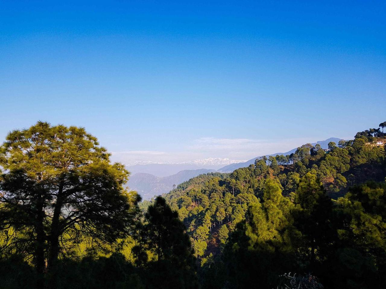 Hotel Homely Abode Dalhousie Exterior foto